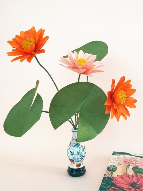 lotus rose et orange